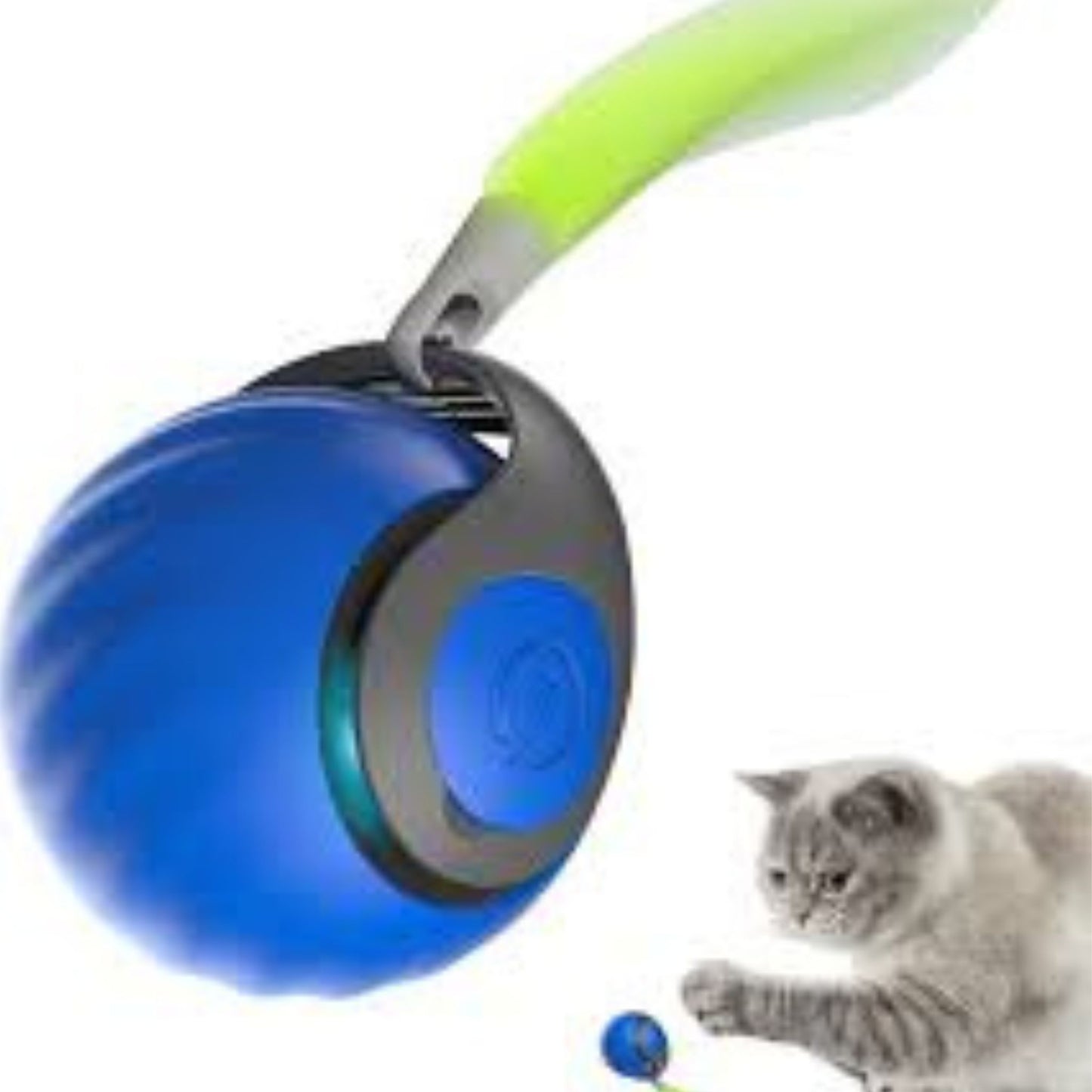 🐱🔥 Limited Stock Available – 50% OFF 🔥🐶