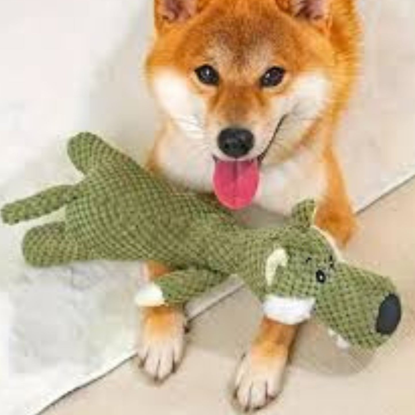 ⏳ Hot Sale 50% OFF ⏳