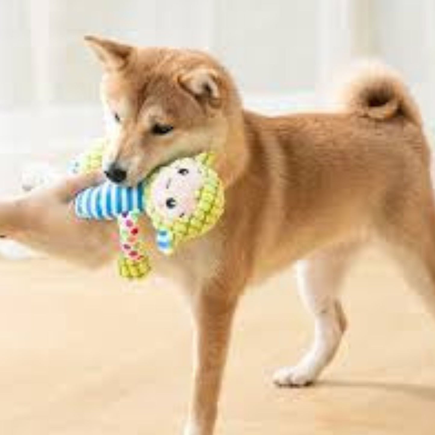 ⏳ Hot Sale 50% OFF ⏳