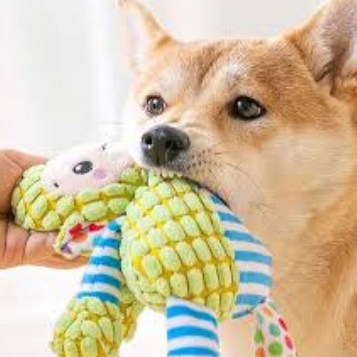 ⏳ Hot Sale 50% OFF ⏳