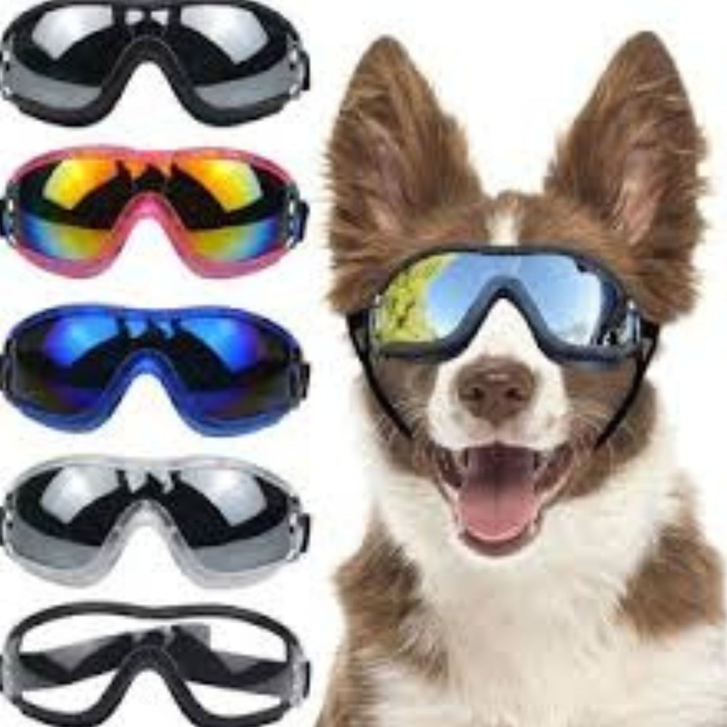 🔥 BUY 2 GET 10% OFF 💝 🐶 Outdoor Goggles for Your Dogs