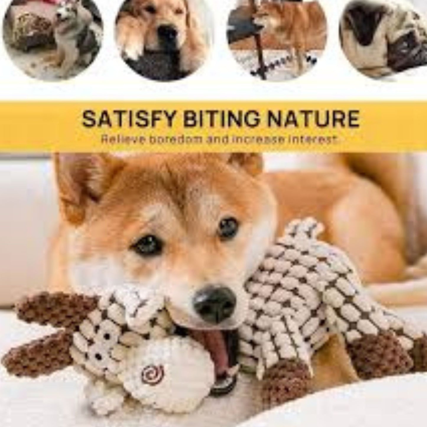 ⏳ Hot Sale 50% OFF ⏳