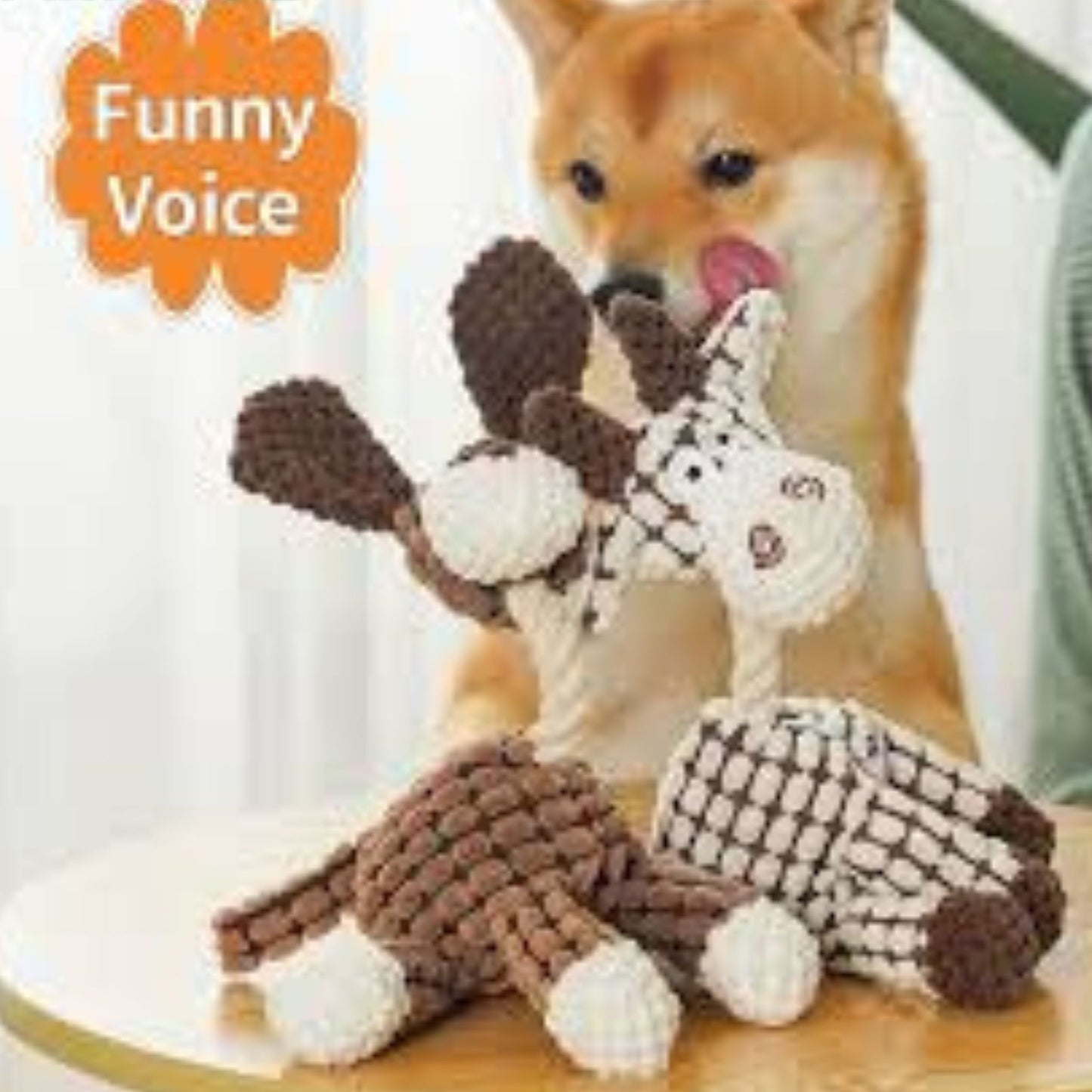 ⏳ Hot Sale 50% OFF ⏳