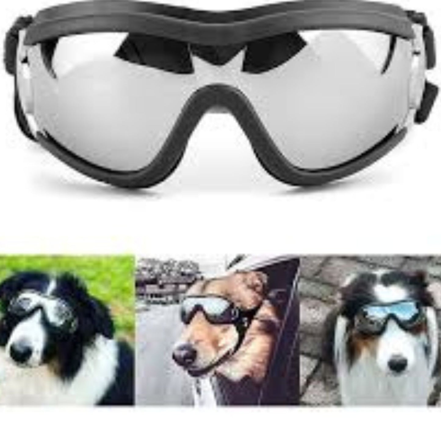 🔥 BUY 2 GET 10% OFF 💝 🐶 Outdoor Goggles for Your Dogs