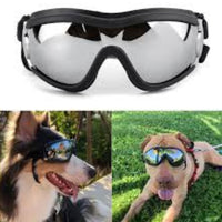 🔥 BUY 2 GET 10% OFF 💝 🐶 Outdoor Goggles for Your Dogs