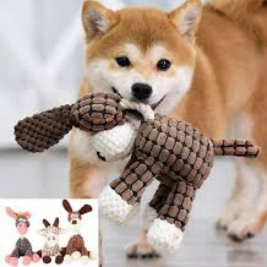 ⏳ Hot Sale 50% OFF ⏳