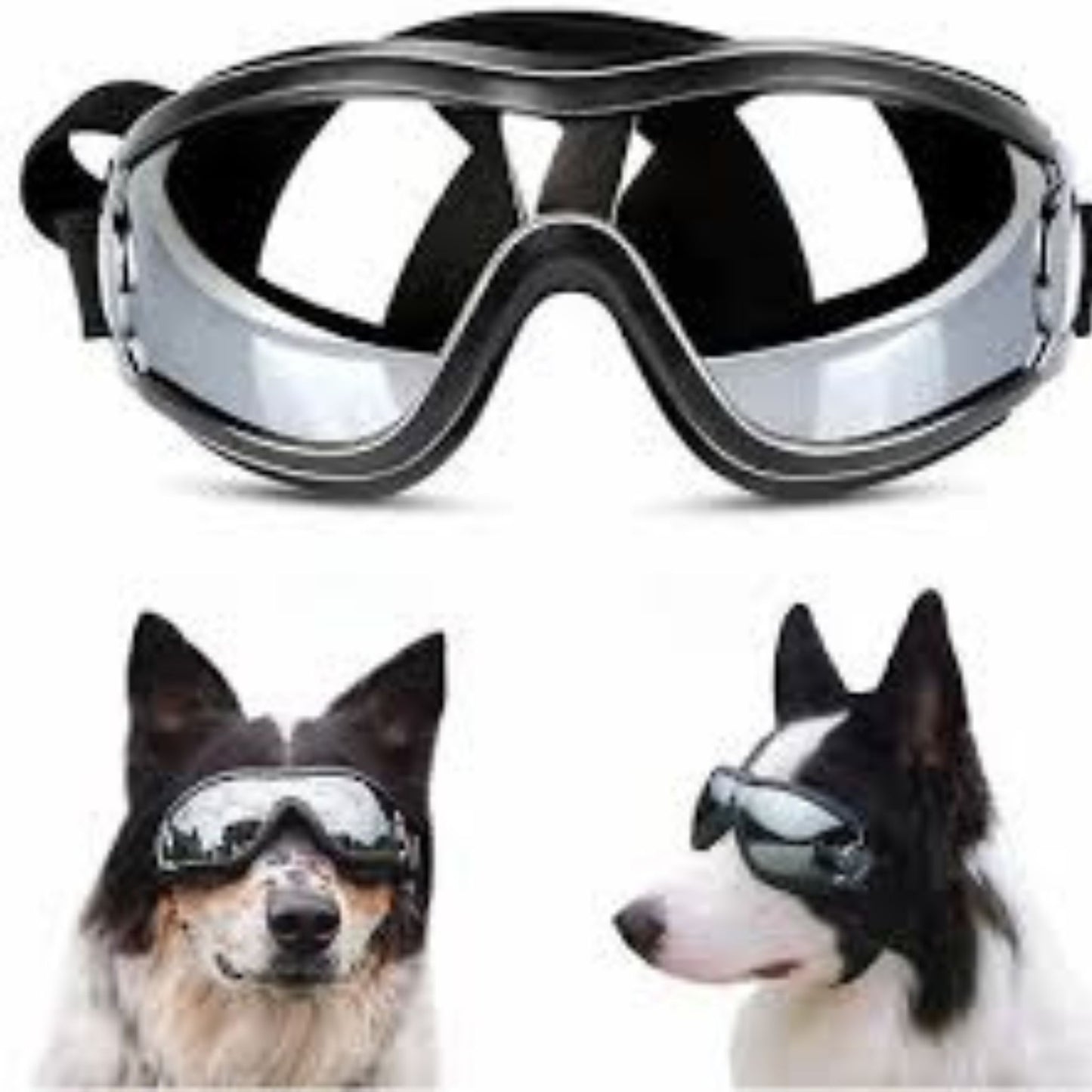 🔥 BUY 2 GET 10% OFF 💝 🐶 Outdoor Goggles for Your Dogs