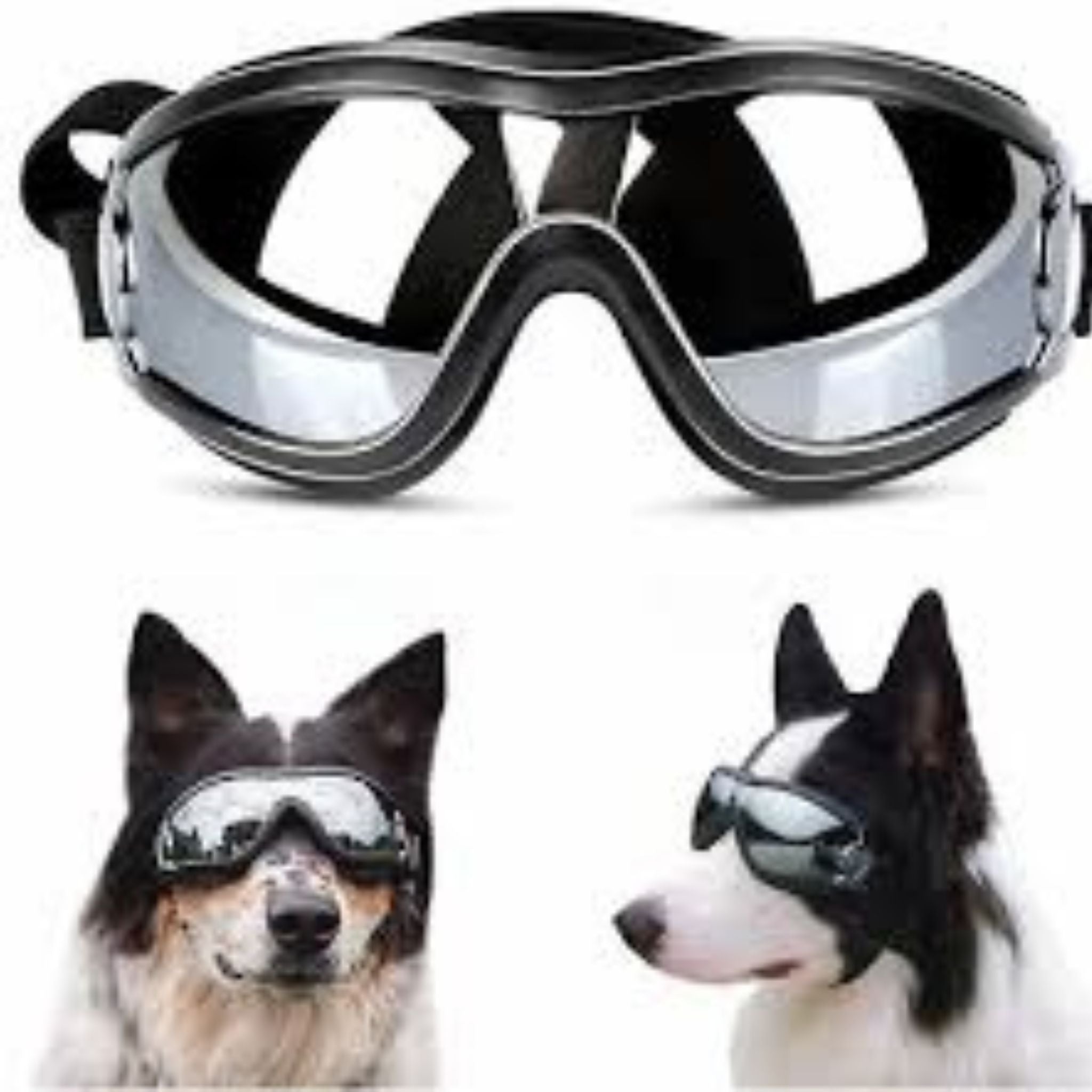 🔥 BUY 2 GET 10% OFF 💝 🐶 Outdoor Goggles for Your Dogs