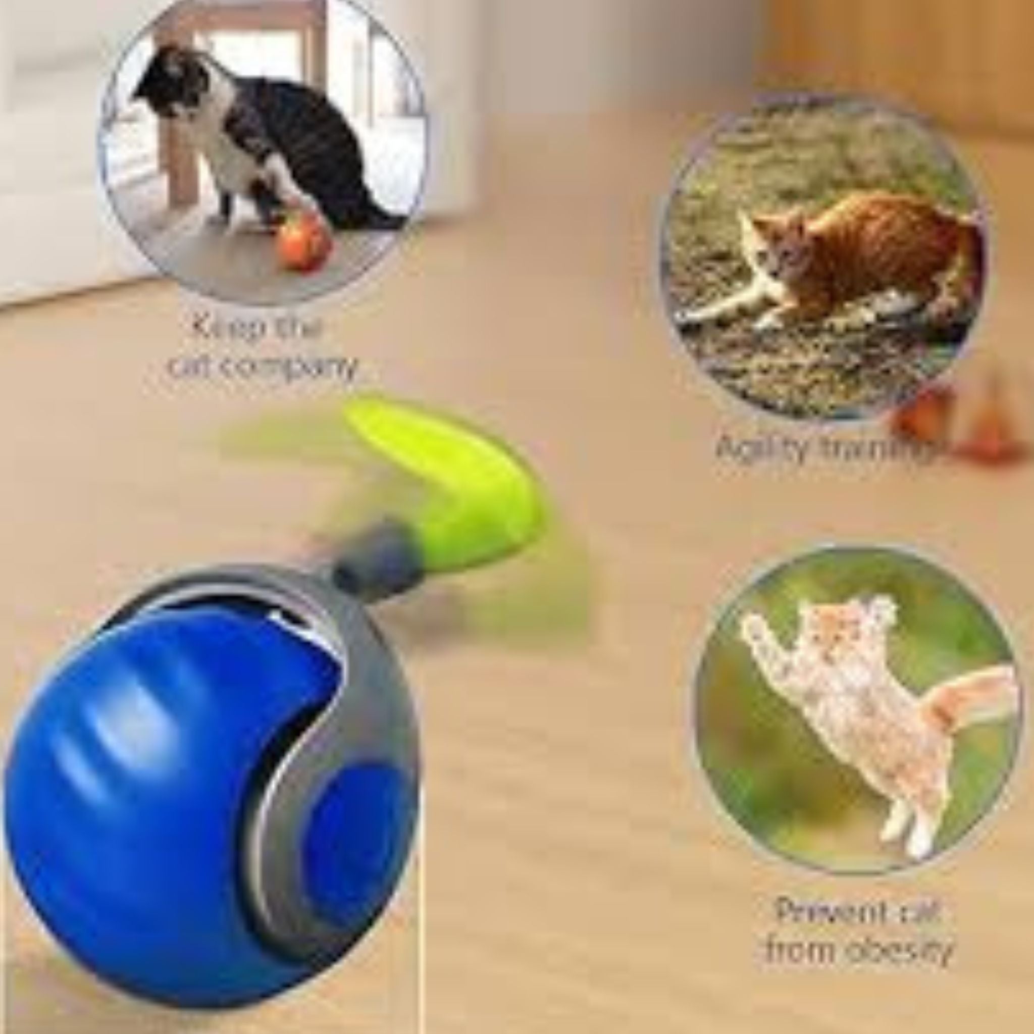 🐱🔥 Limited Stock Available – 50% OFF 🔥🐶