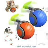 🐱🔥 Limited Stock Available – 50% OFF 🔥🐶