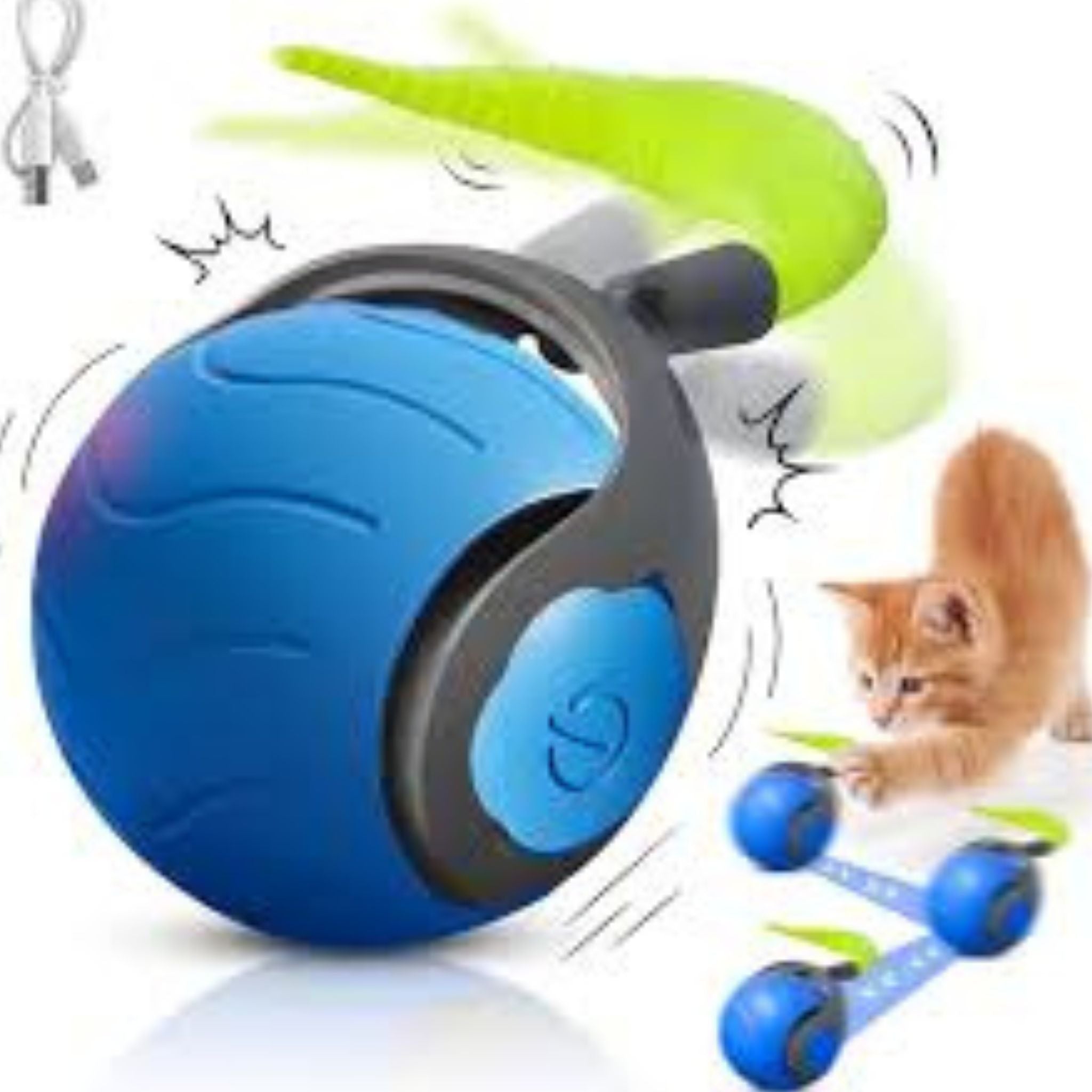 🐱🔥 Limited Stock Available – 50% OFF 🔥🐶