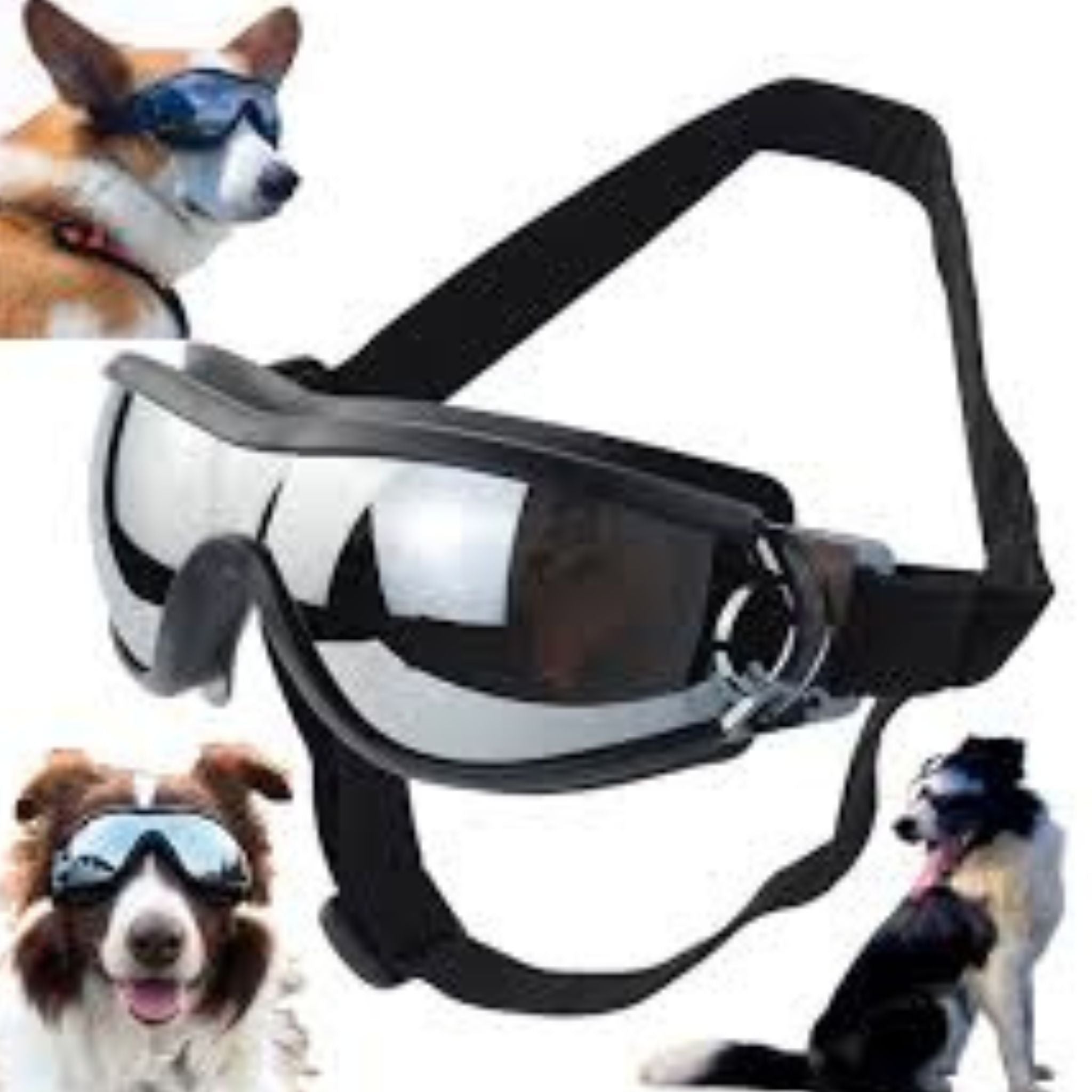 🔥 BUY 2 GET 10% OFF 💝 🐶 Outdoor Goggles for Your Dogs