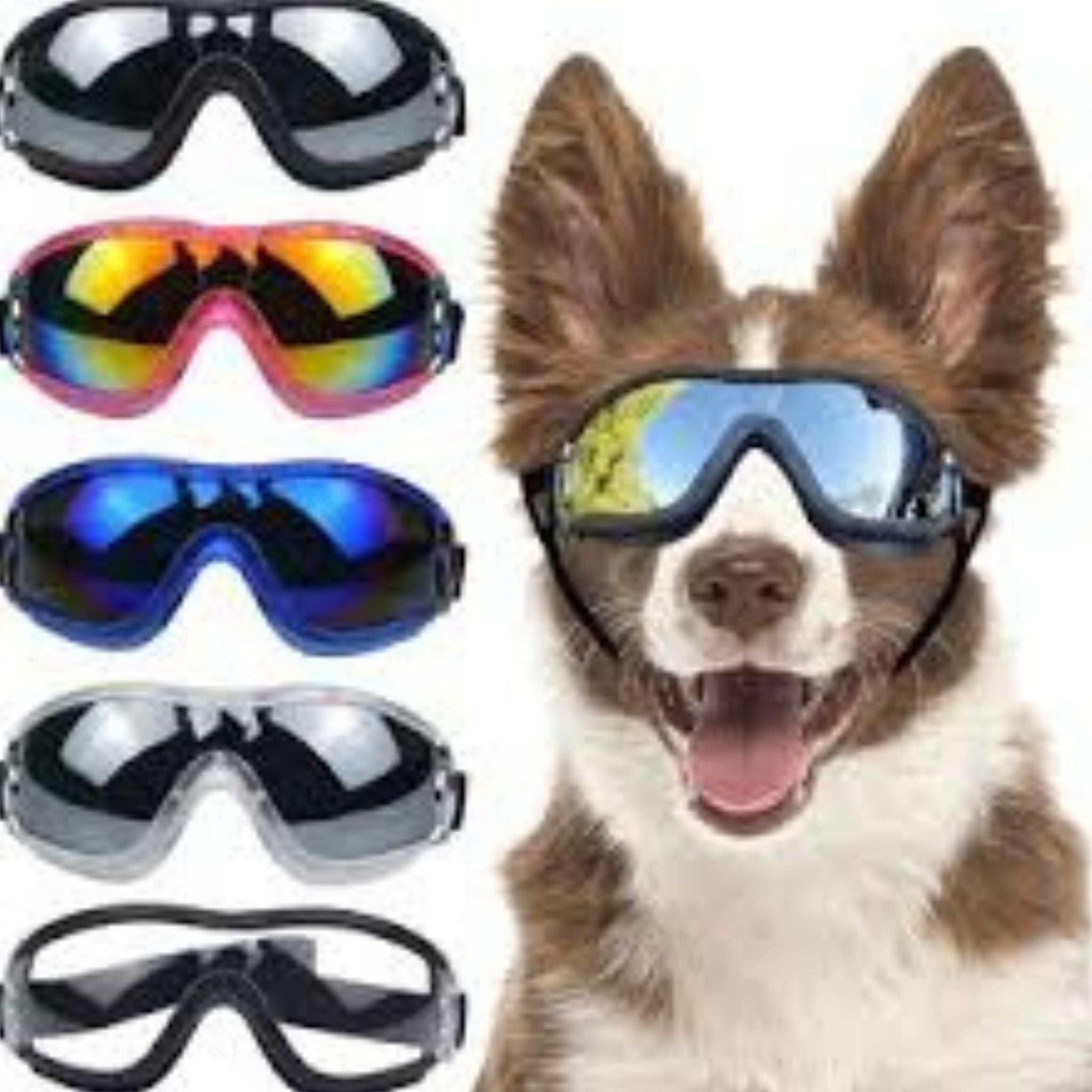 🔥 BUY 2 GET 10% OFF 💝 🐶 Outdoor Goggles for Your Dogs