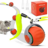 🐱🔥 Limited Stock Available – 50% OFF 🔥🐶