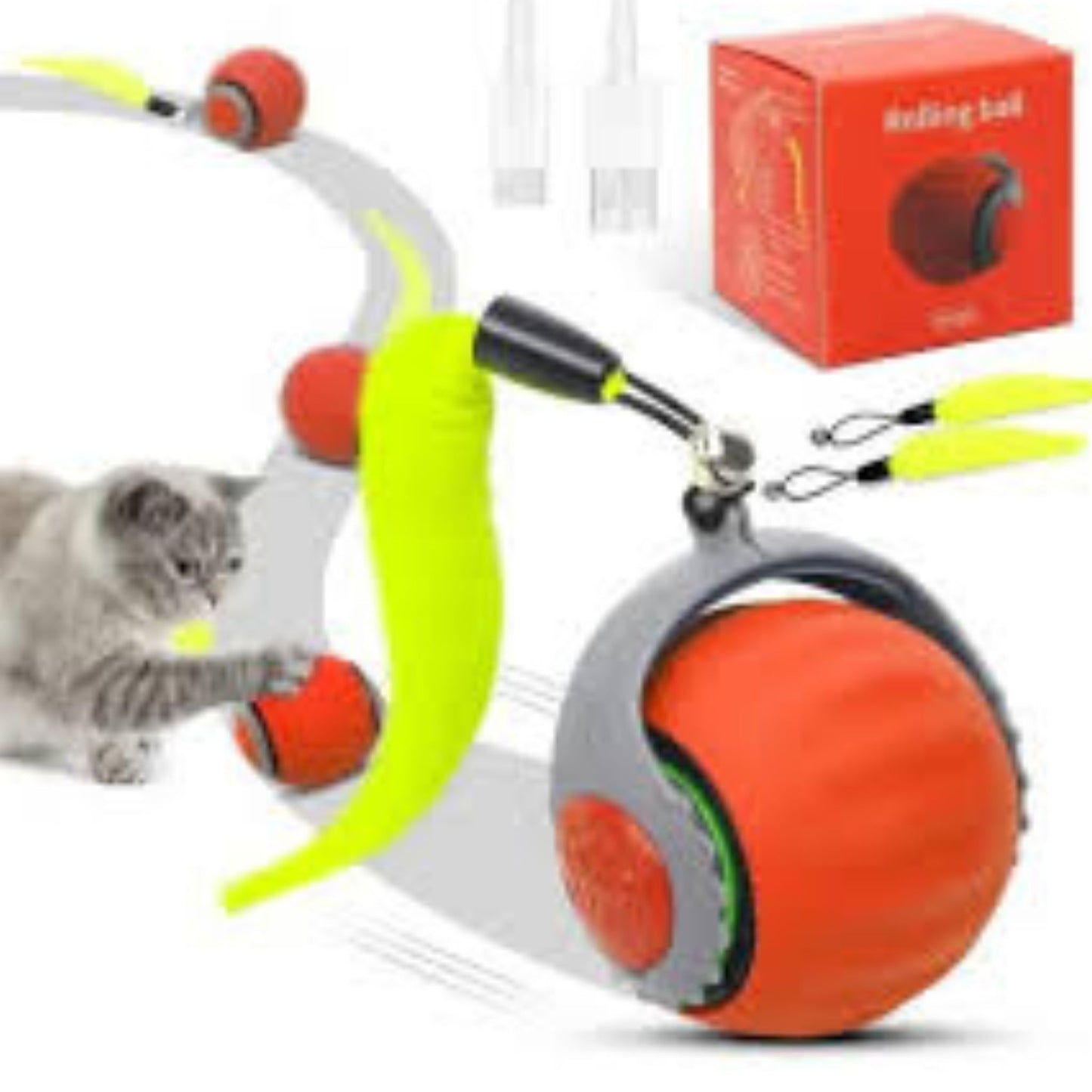 🐱🔥 Limited Stock Available – 50% OFF 🔥🐶