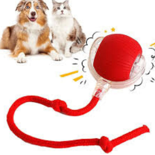 🔥🎄 Christmas Hot Sale – 45% OFF 🎁 Spin Kit