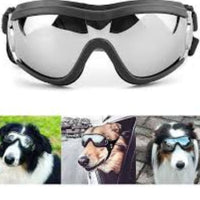 🔥 BUY 2 GET 10% OFF 💝 🐶 Outdoor Goggles for Your Dogs